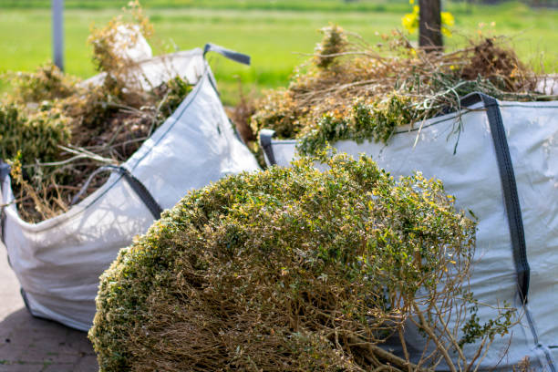 Best Yard Cleanup Services  in Alamo Heights, TX