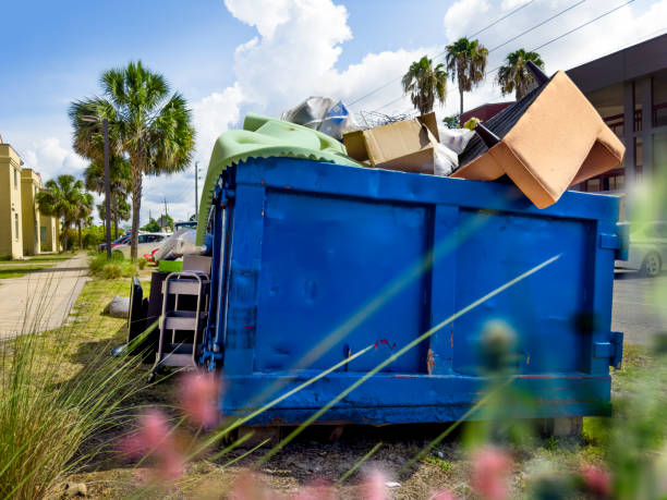 Attic Cleanout Services in Alamo Heights, TX
